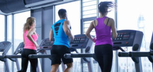 Centre de fitness - La musculation
